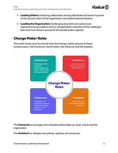 Thumbnail image showing an internal page from the ‘Transformation Leadership Development: The Stories Told Lead to Successful Forward Looking Change in Your Organization’’ white paper. The image outlines ‘Change Maker Roles’ in the context of transformational leadership. At the center is a blue circle labeled ‘Change Maker Roles,’ surrounded by four distinct categories: 1. Connector (green) - Encourages and cultivates relationships up, down, and across the organization. 2. Architect (red) - Co-designs new policies, systems, and structures. 3. Influencer (blue) - Provides credibility to positively impact individual, group behavior, and decisions. 4. Catalyzer (orange) - Offers access to and distributes needed resources. Above the diagram are key points about leadership: ‘Leading Others’ involves fostering collaboration for organizational transformation, while ‘Leading the Organization’ focuses on challenging cultural assumptions to navigate transformation challenges. The Radical EQ logo is located in the upper right corner.