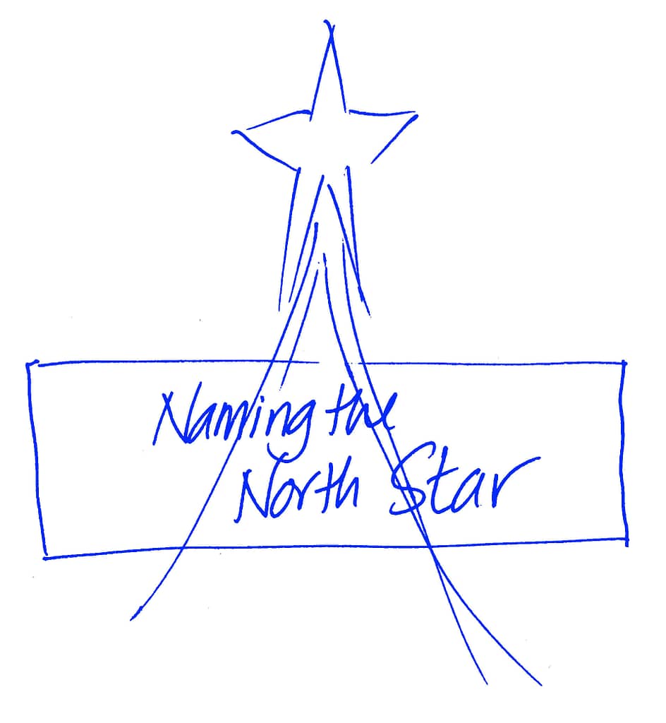 A simple hand-drawn illustration in blue ink, featuring a star at the top with lines radiating downward. Beneath the star is a rectangular box containing the text ‘Naming the North Star.’ The star appears to symbolize a guiding principle or goal, with the text emphasizing the idea of defining or identifying a central guiding focus, much like how the North Star has been historically used for navigation.